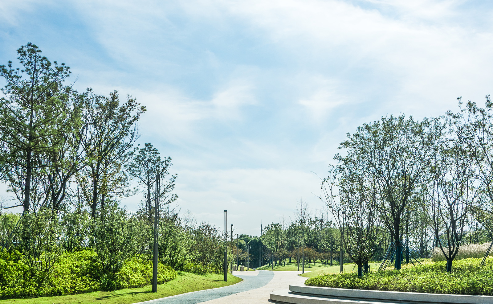 The image shows a serene park scene with a well-maintained pathway leading towards a line of mature trees, under a clear blue sky.