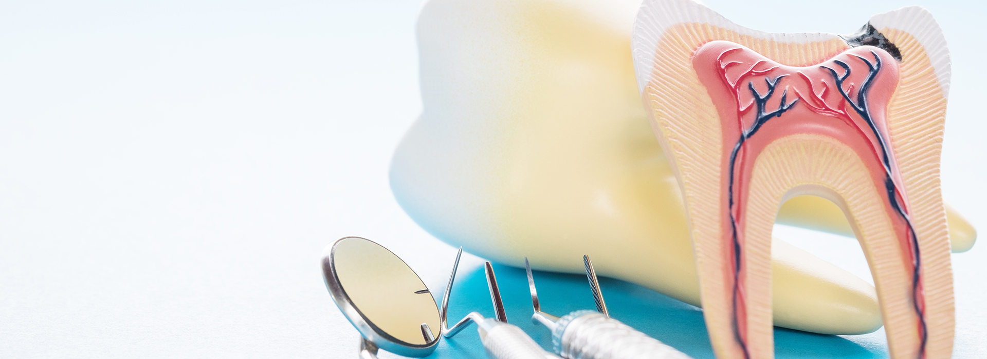 The image displays a dental model with an open mouth, showcasing a toothbrush and dental floss, placed on a blue background.